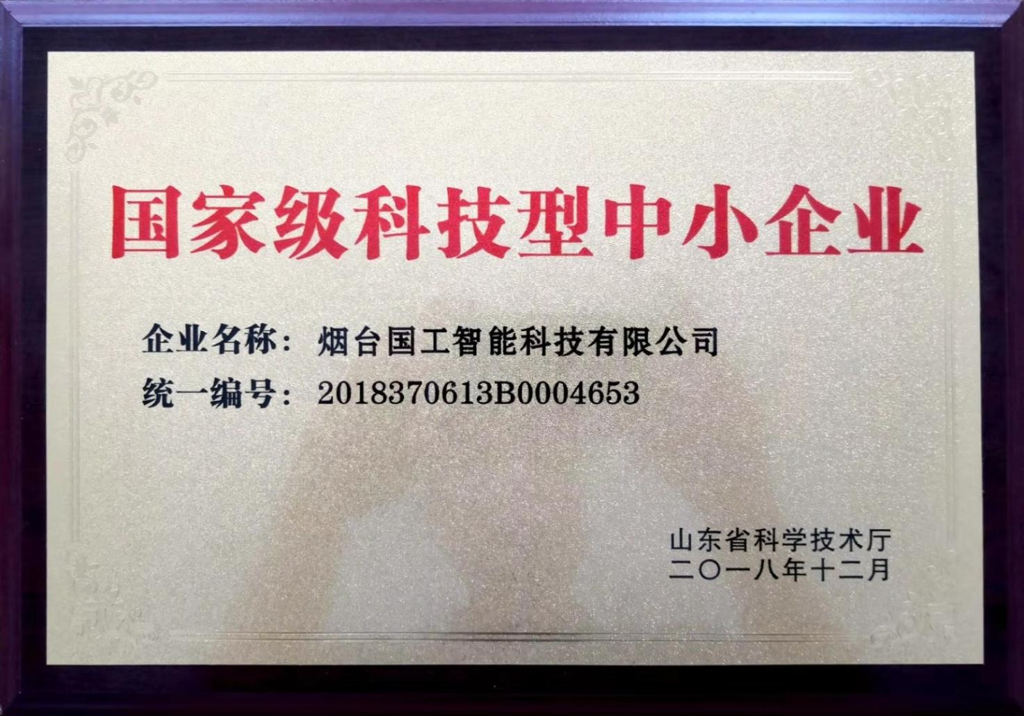 國家級科技型中小企業(yè)